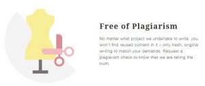 Mypaperwriter Plagiarism Free